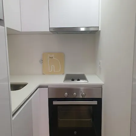 아파트 Golden Flat 포르투