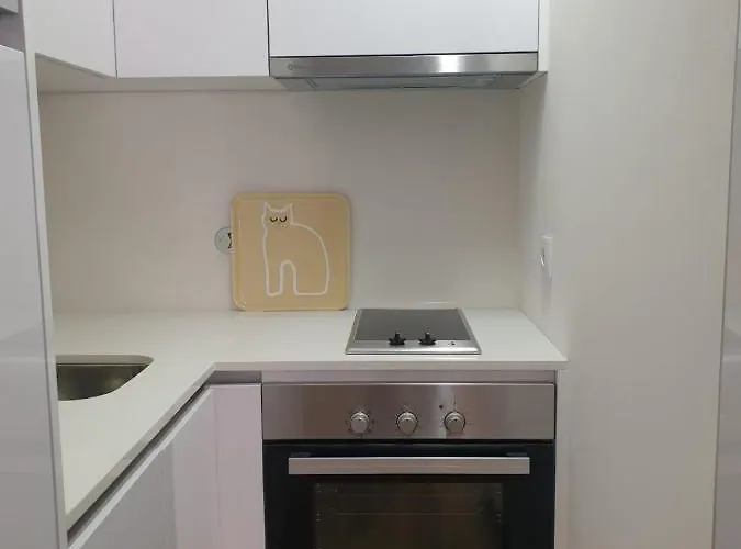 Appartement Golden Flat Oporto